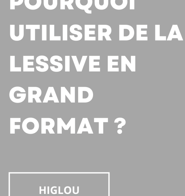 Pourquoi utiliser de la lessive en feuille grand format ?